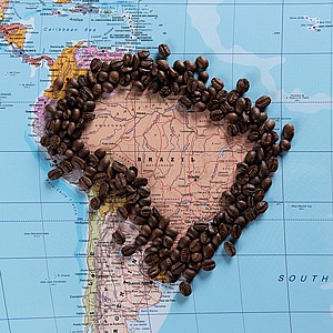 ברזיל סרדו ברזיל סרדו