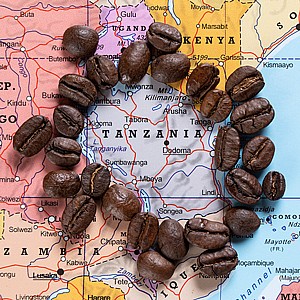 טנזניה טנזניה